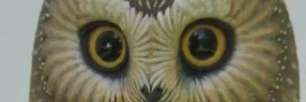 H2SO4_abra's profile banner image