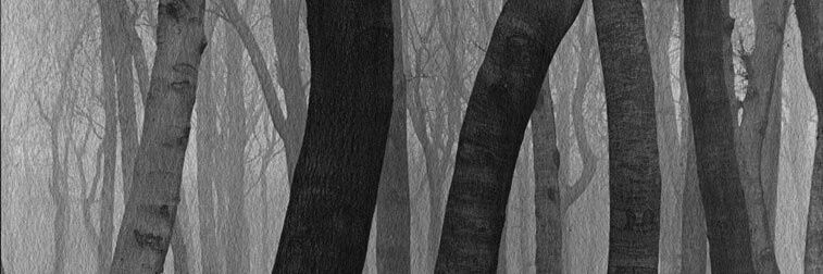 Rpg_WA's profile banner image