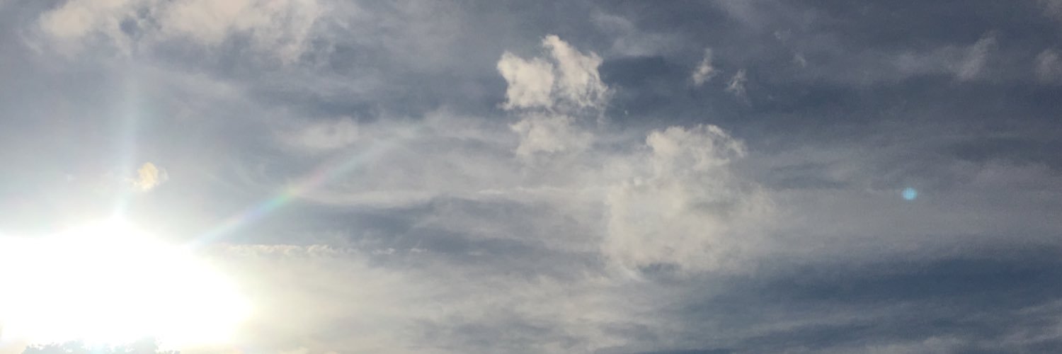 PoliticalPencil's profile banner image