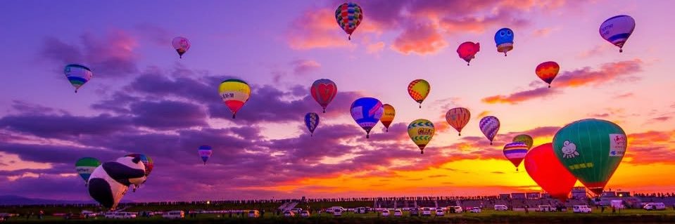 トトロちゃん&盲導犬🦮🐾 banner