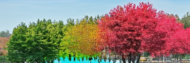 J Fitzgerald 🇺🇸 banner