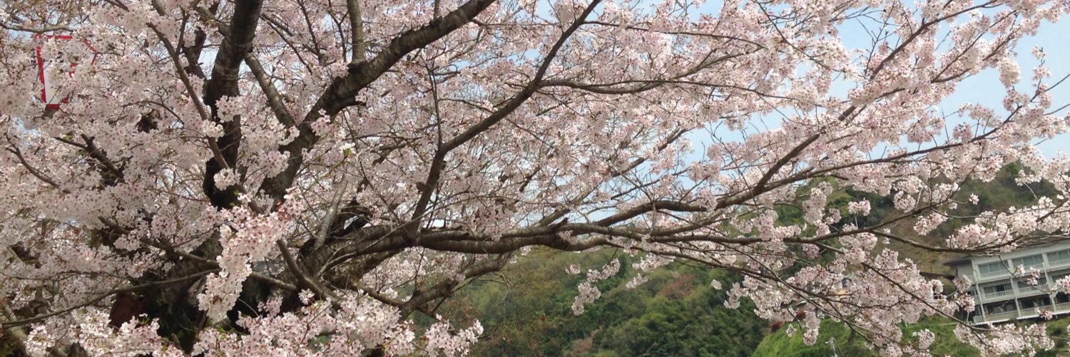 spring7731063's profile banner image