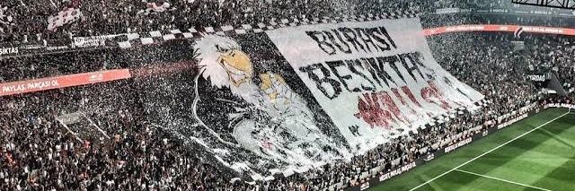 AyhanAdaloglu's profile banner image