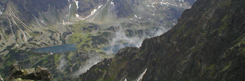 Krzysztof Paszek banner