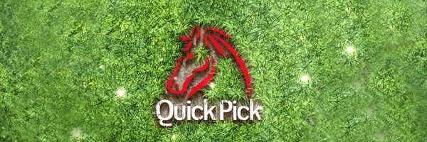 quickpickequine Profile Banner