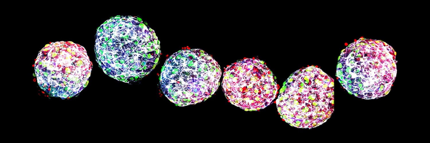 Rugg-Gunn Lab banner