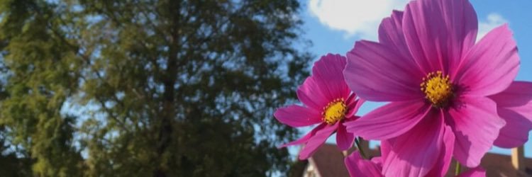 kasumin_27's profile banner image