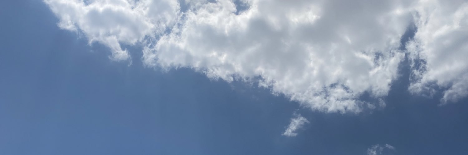 gül yılmaz banner