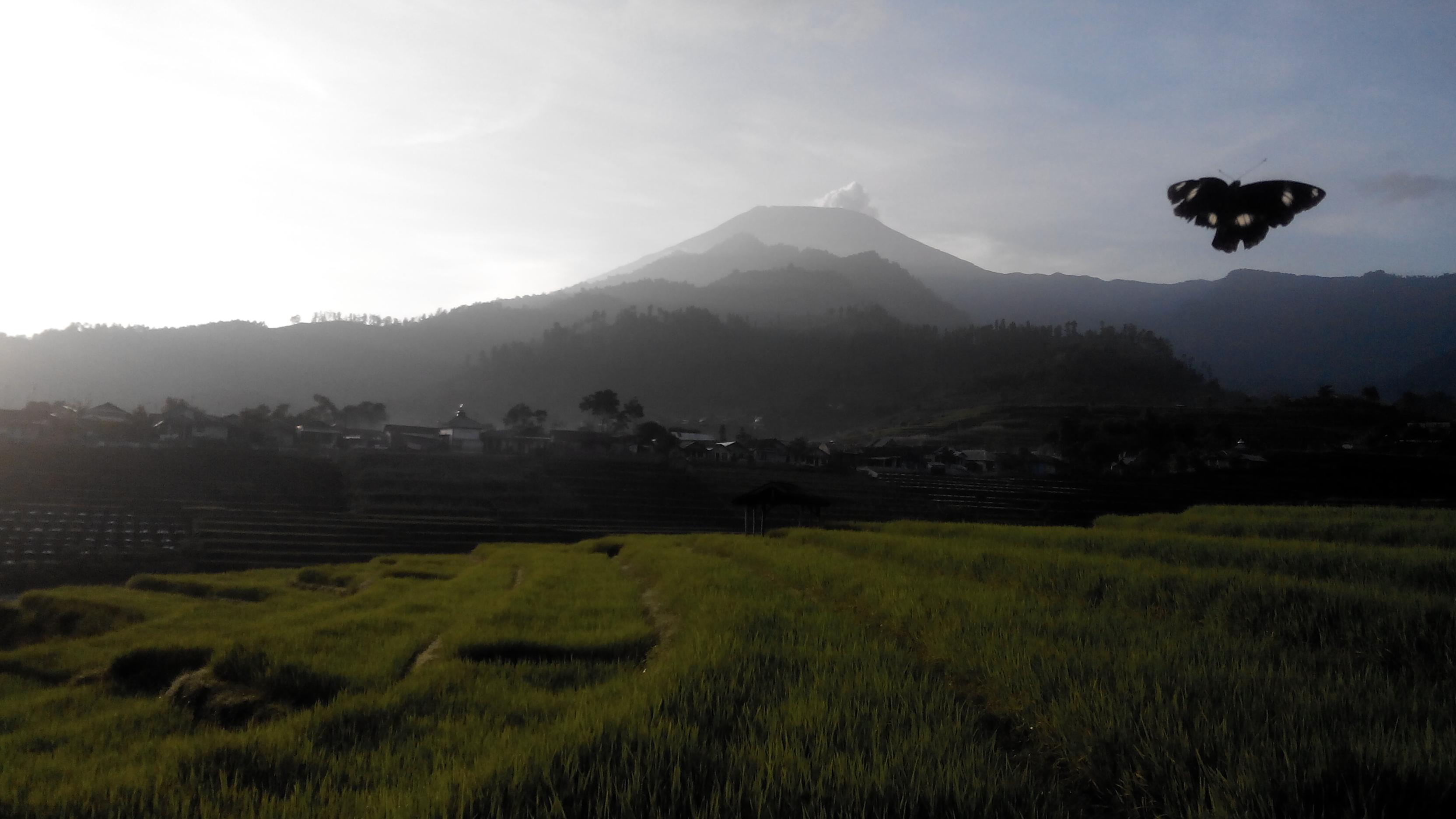 win_utomo's profile banner image