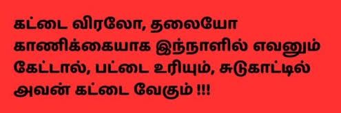 Anu banner