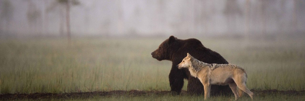 Smarter than Every Economist banner