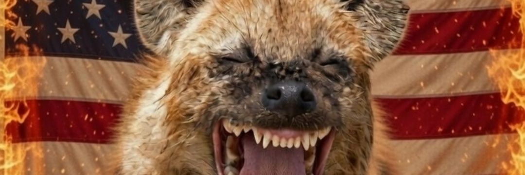 TXMXDF❤️4T banner