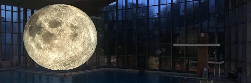 Natalie Bolam-Wilson banner