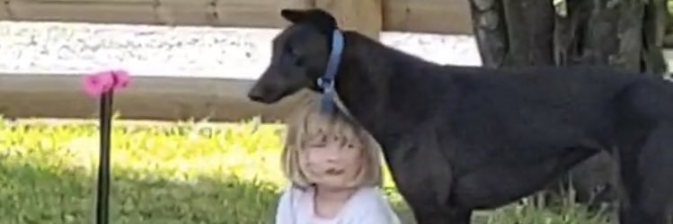 kebdon's profile banner image
