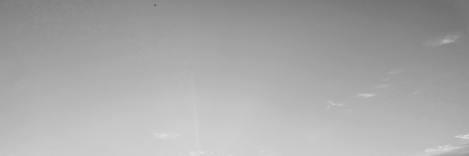 CarolinPirich's profile banner image