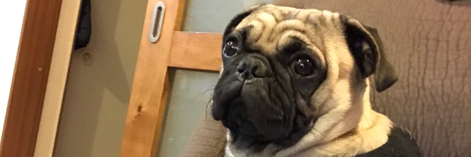 cassirodbac's profile banner image