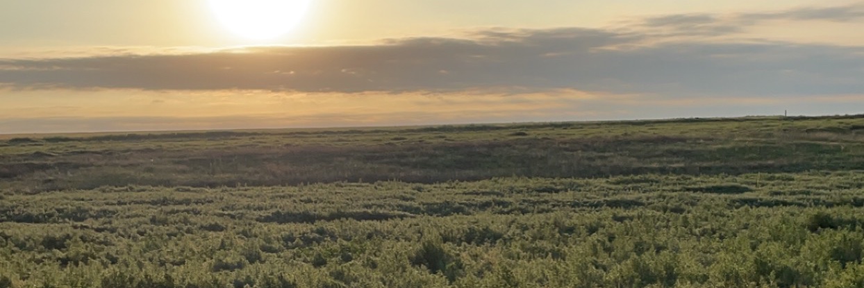 Celiaroseotto2's profile banner image