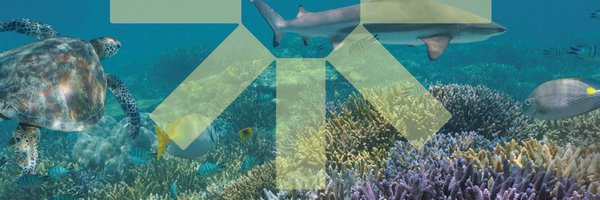 Carnstone Profile Banner