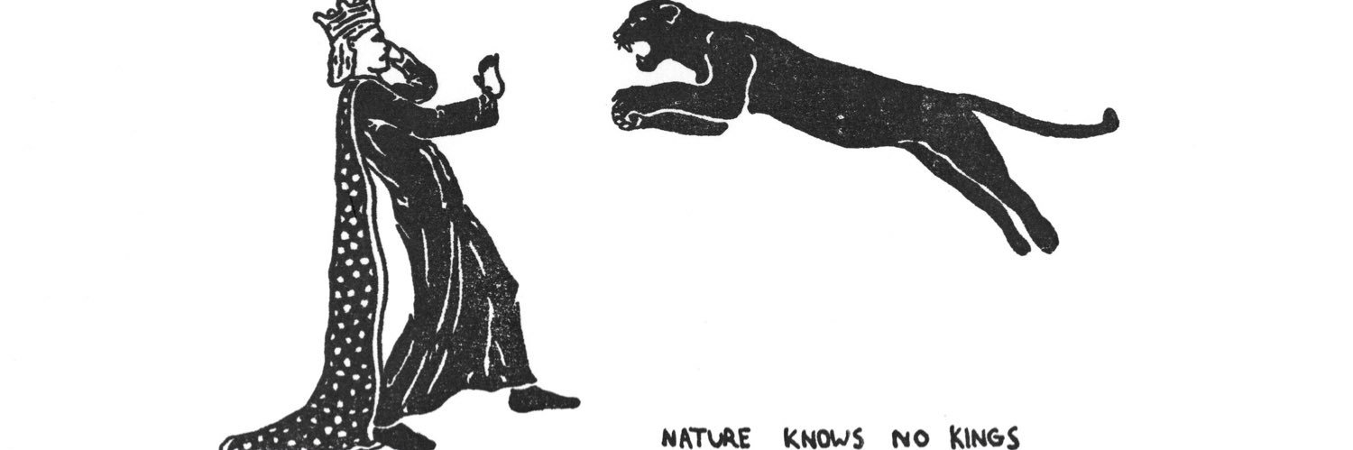 Sian McMullen banner