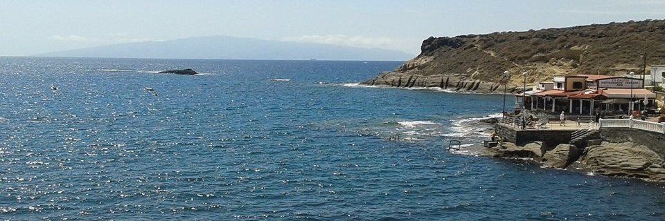 profesorluis.port banner