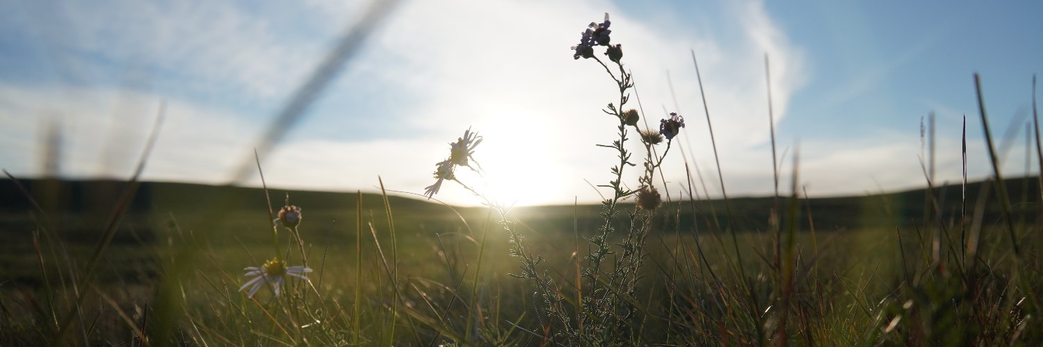 RdnblgE's profile banner image