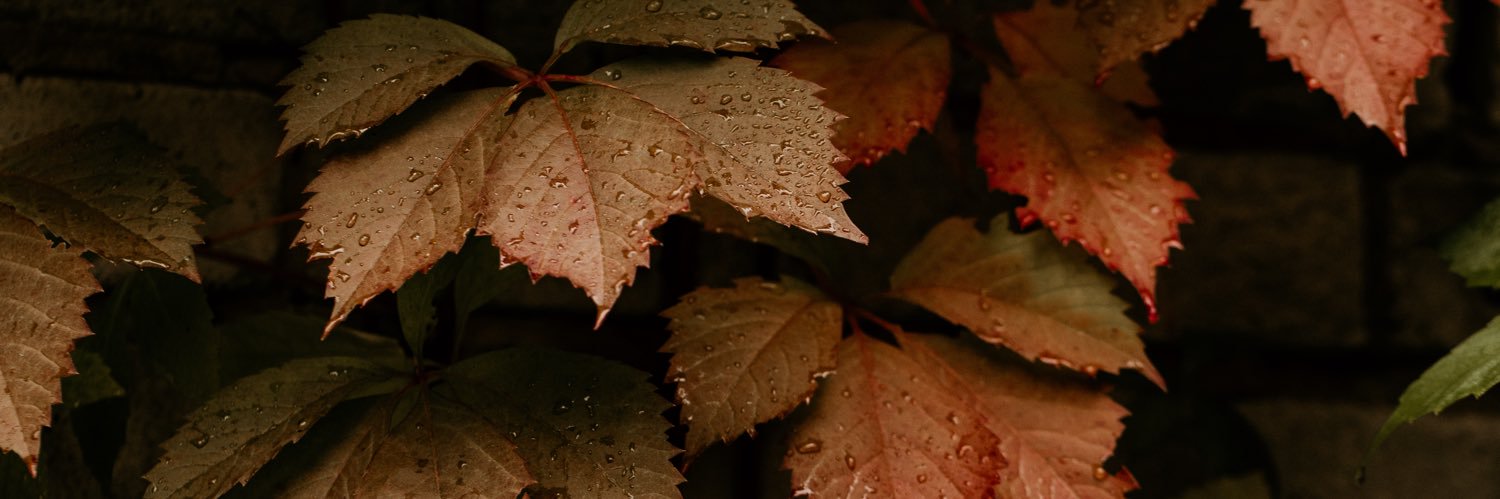 DanielHellman's profile banner image