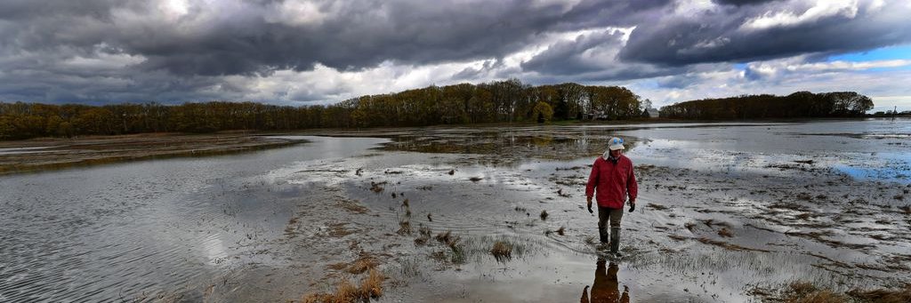 Dr. Justin S. Lesser, Ph.D. banner