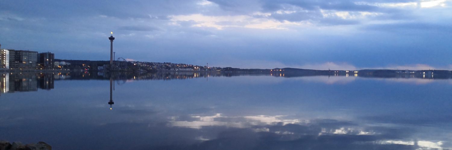 Annina Vainio banner