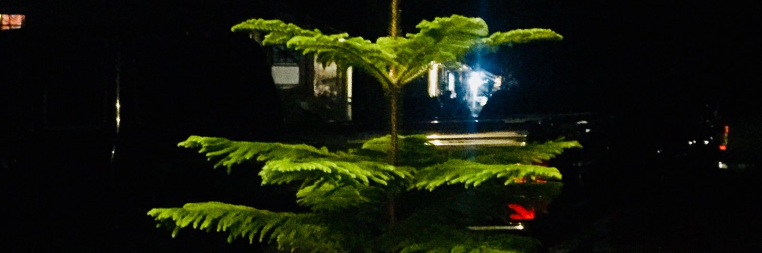 b9i19's profile banner image