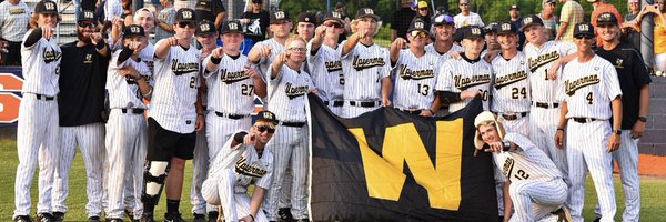 Baseball_UHS Profile Banner