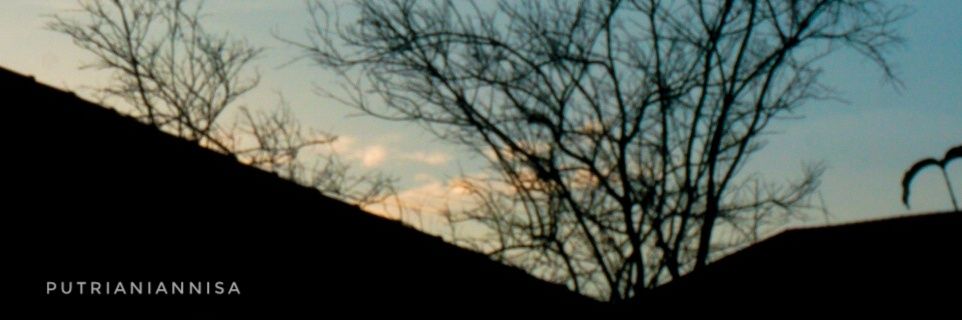 🦊 banner