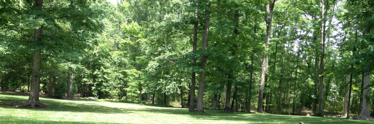 JamesBrummett's profile banner image