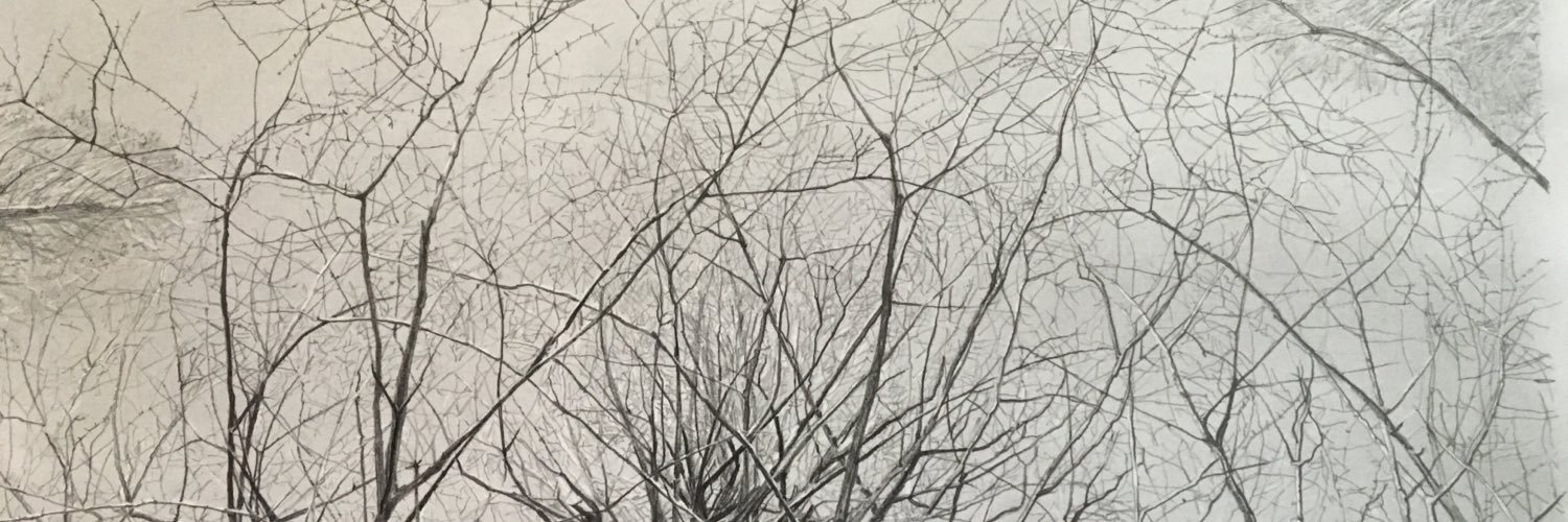 Mido_Tokyo's profile banner image
