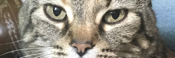 Randalls2017 Profile Banner