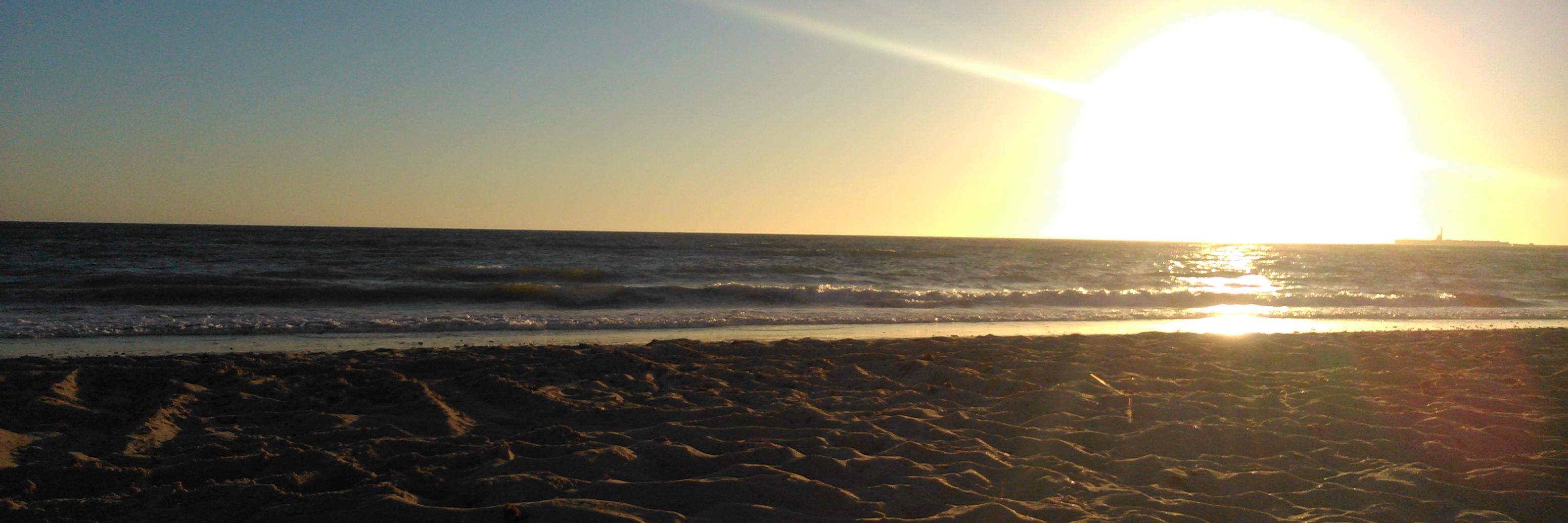 alrueda15's profile banner image