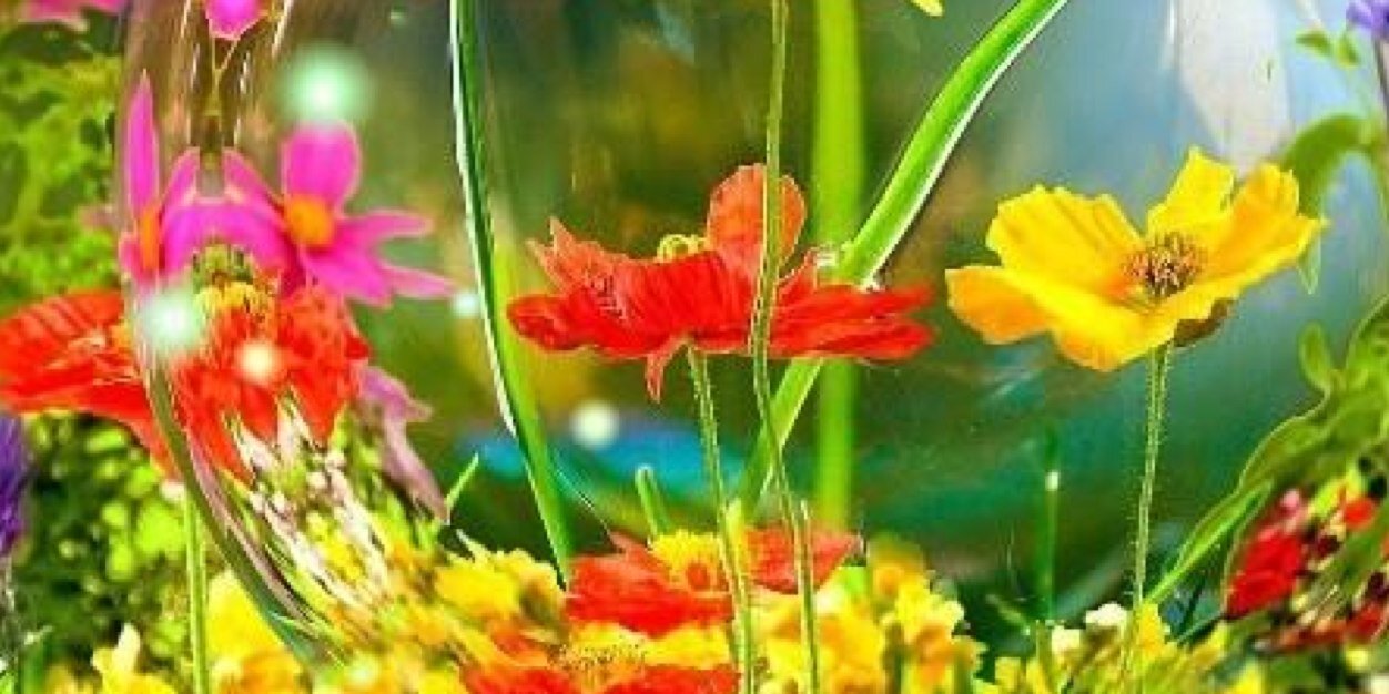 fofo_hawa's profile banner image