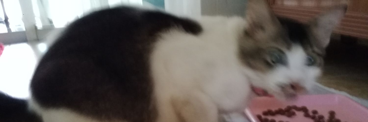 _Ao_Mi_'s profile banner image