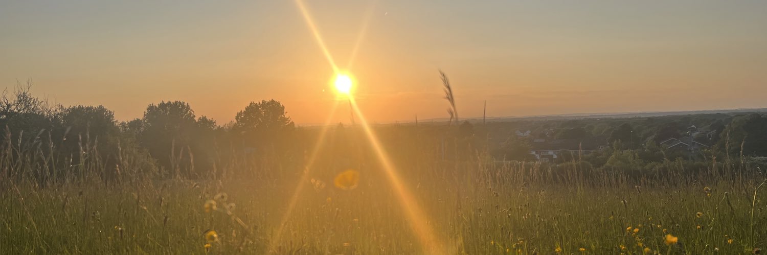fxckitforchris's profile banner image