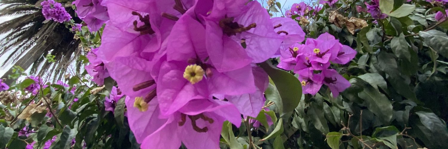 Noe_453's profile banner image