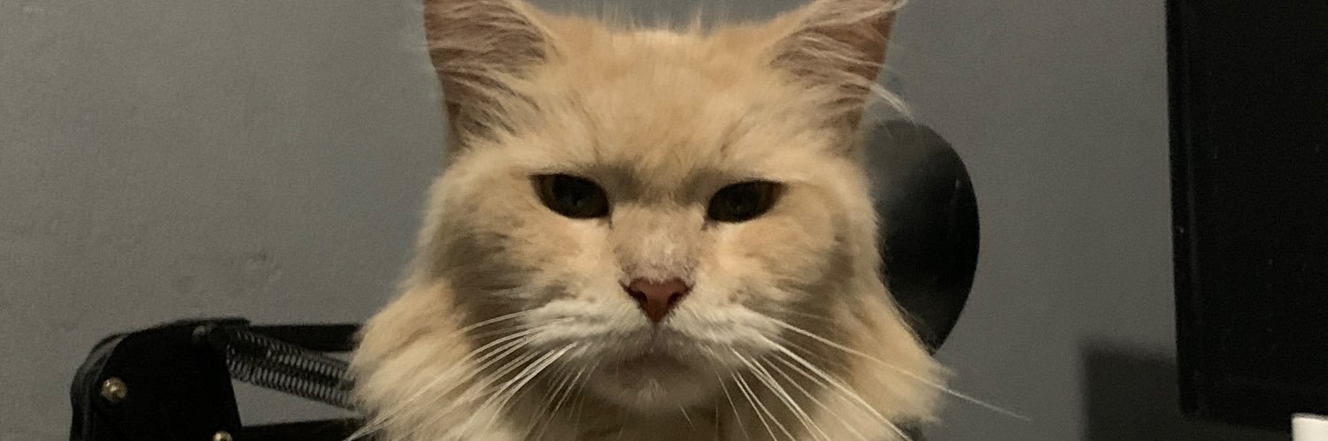donatraksasa's profile banner image