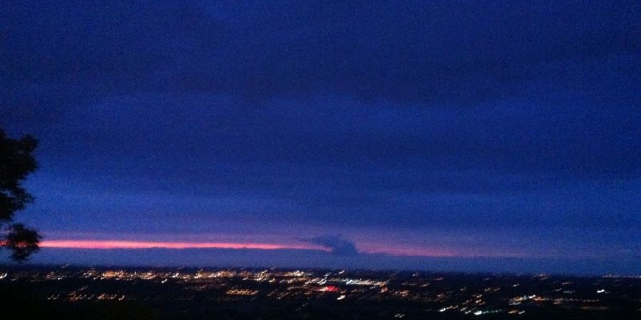 Simona Branchetti banner