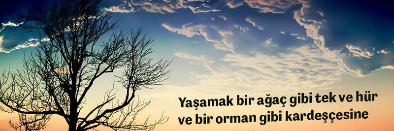 MuhalifBesteci's profile banner image