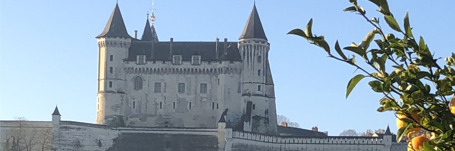 MOMMALIER Frédéric banner