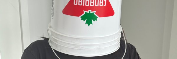 strrlthedev Profile Banner