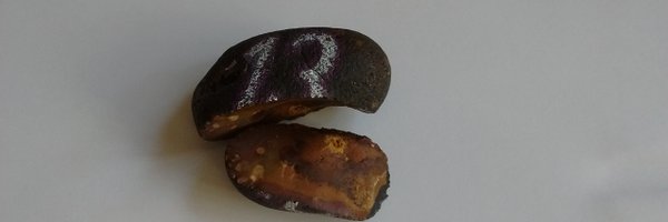 Lee_E_Collins Profile Banner