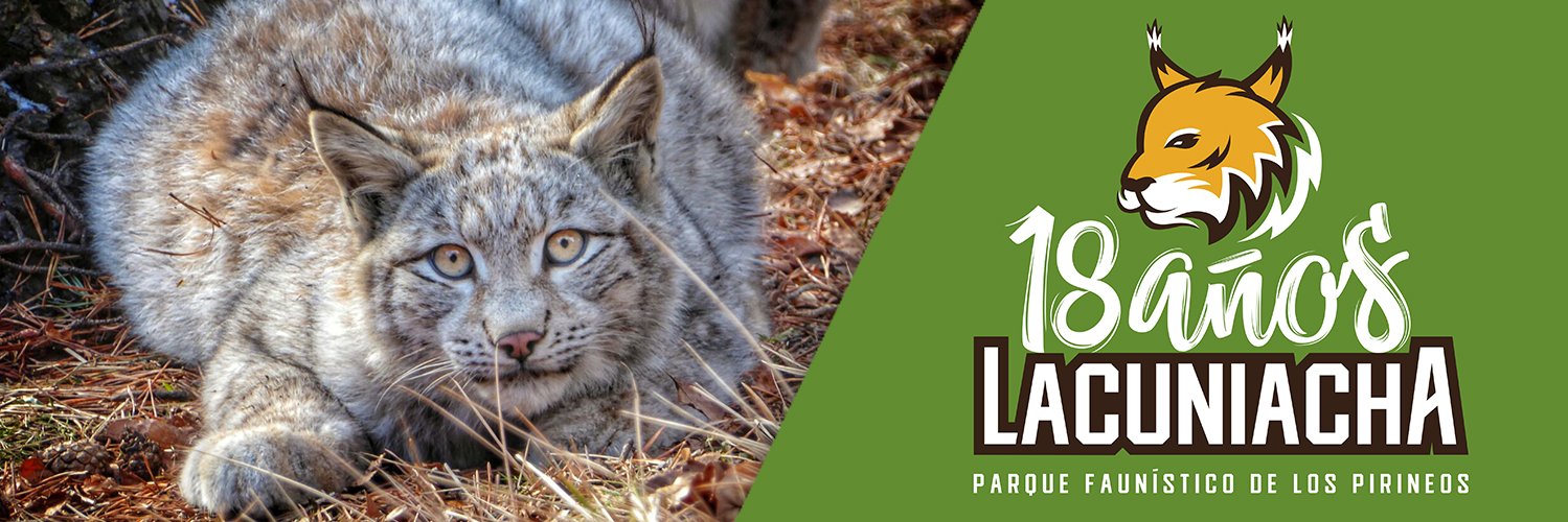Lacuniacha's profile banner image