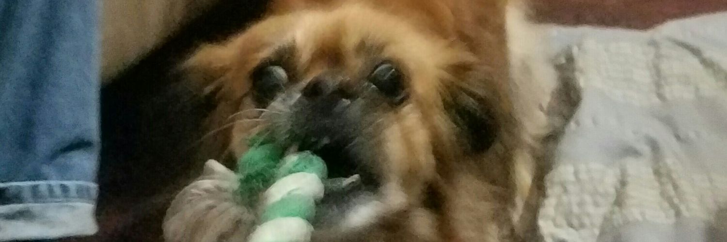 Chewy banner