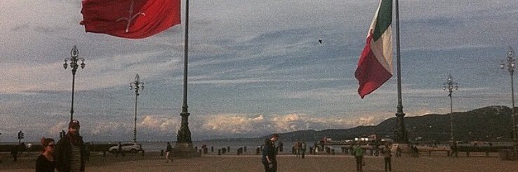 Helga Hejny banner
