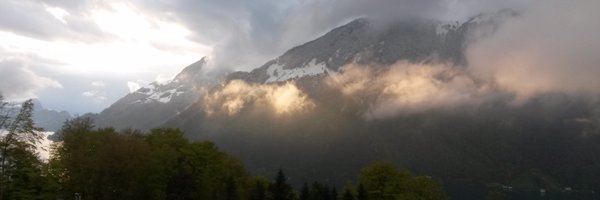 ARoehrig23 Profile Banner