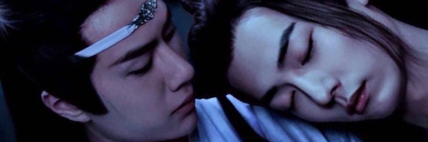 seedsomo's profile banner image